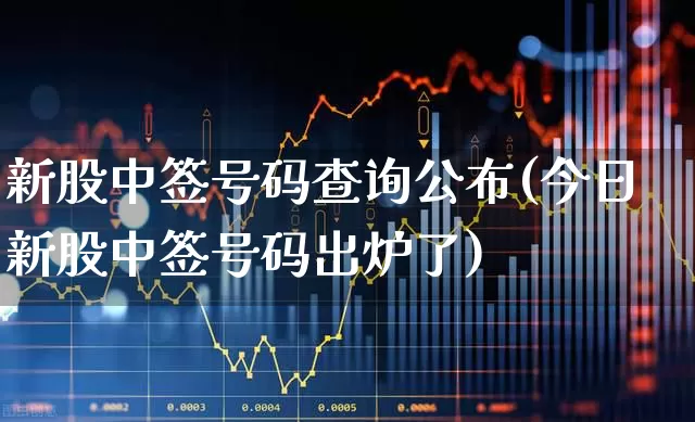 新股中签号码查询公布(今日新股中签号码出炉了)_https://www.wanyuyiyao.com_上交所_第1张