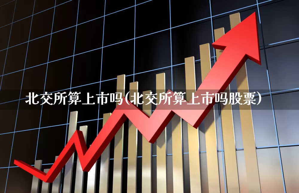 北交所算上市吗(北交所算上市吗股票)_https://www.wanyuyiyao.com_科创板_第1张