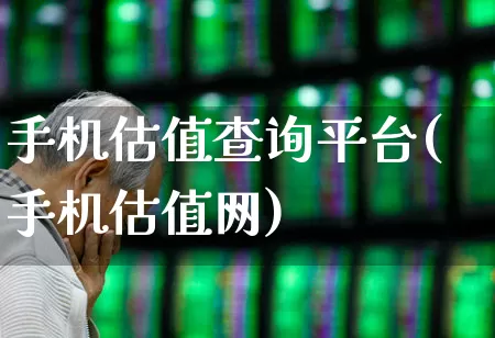手机估值查询平台(手机估值网)_https://www.wanyuyiyao.com_北交所_第1张