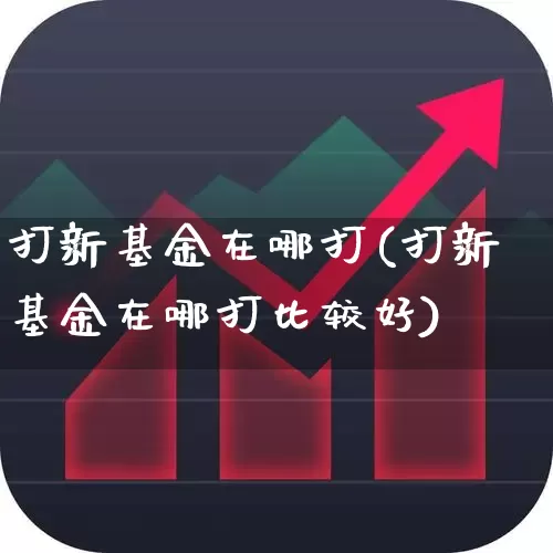 打新基金在哪打(打新基金在哪打比较好)_https://www.wanyuyiyao.com_北交所_第1张