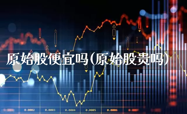 原始股便宜吗(原始股贵吗)_https://www.wanyuyiyao.com_上交所_第1张