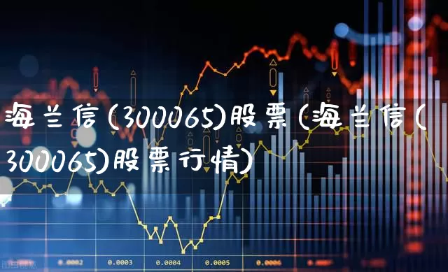 海兰信(300065)股票(海兰信(300065)股票行情)_https://www.wanyuyiyao.com_上交所_第1张