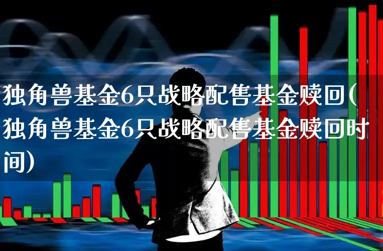 独角兽基金6只战略配售基金赎回(独角兽基金6只战略配售基金赎回时间)_https://www.wanyuyiyao.com_深交所_第1张