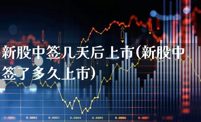 新股中签几天后上市(新股中签了多久上市)_https://www.wanyuyiyao.com_北交所_第1张