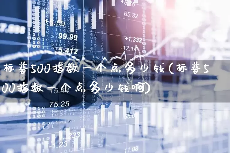 标普500指数一个点多少钱(标普500指数一个点多少钱啊)_https://www.wanyuyiyao.com_深交所_第1张