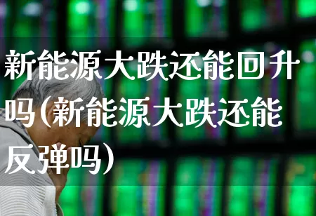新能源大跌还能回升吗(新能源大跌还能反弹吗)_https://www.wanyuyiyao.com_上交所_第1张