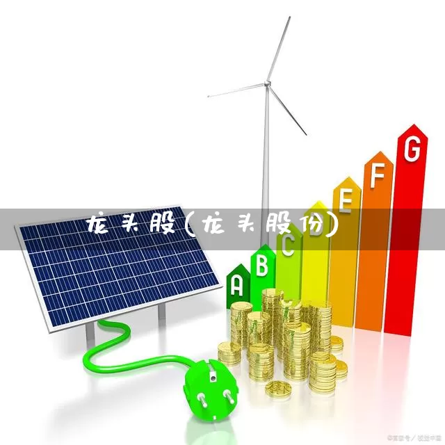 龙头股(龙头股份)_https://www.wanyuyiyao.com_科创板_第1张