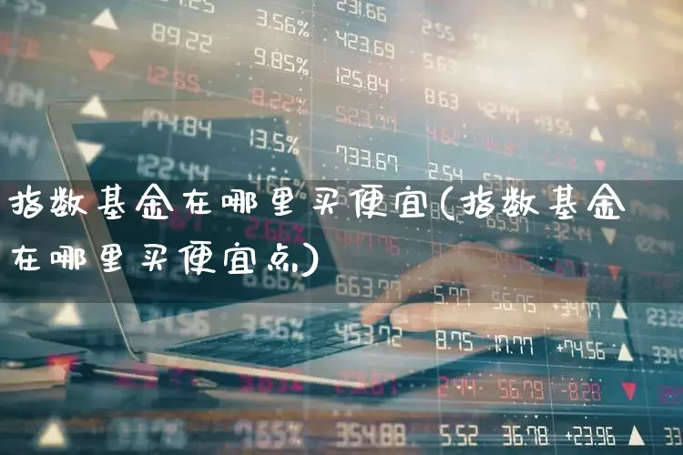 指数基金在哪里买便宜(指数基金在哪里买便宜点)_https://www.wanyuyiyao.com_北交所_第1张
