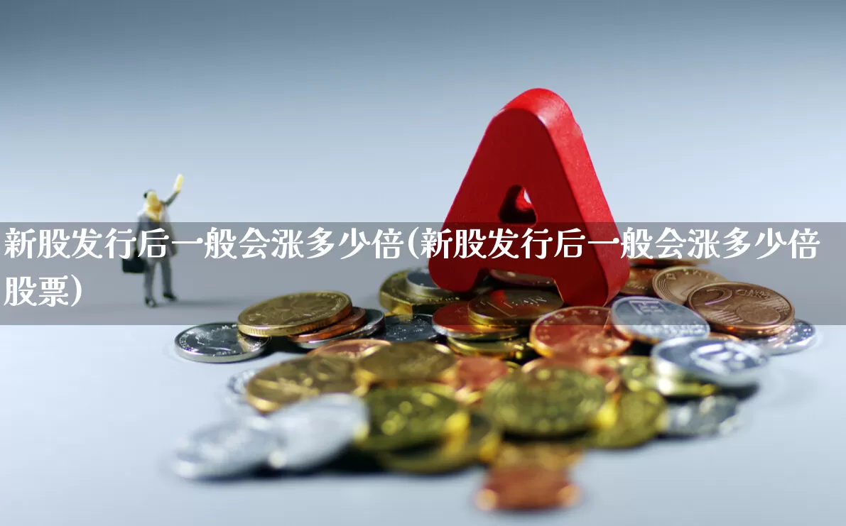 新股发行后一般会涨多少倍(新股发行后一般会涨多少倍股票)_https://www.wanyuyiyao.com_创业板_第1张
