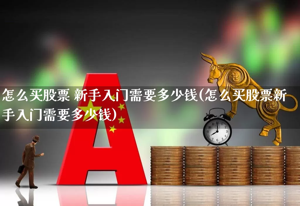 怎么买股票 新手入门需要多少钱(怎么买股票新手入门需要多少钱)_https://www.wanyuyiyao.com_上交所_第1张