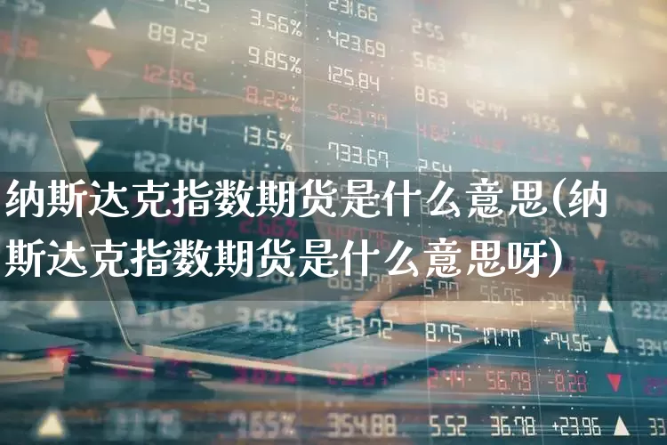 纳斯达克指数期货是什么意思(纳斯达克指数期货是什么意思呀)_https://www.wanyuyiyao.com_创业板_第1张