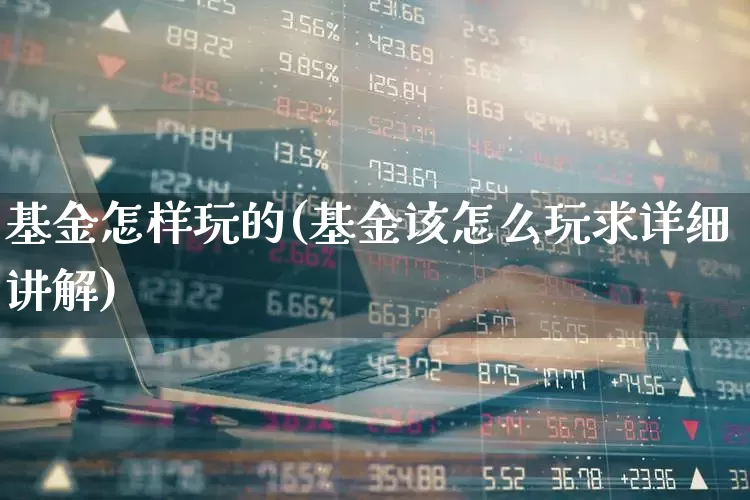 基金怎样玩的(基金该怎么玩求详细讲解)_https://www.wanyuyiyao.com_创业板_第1张