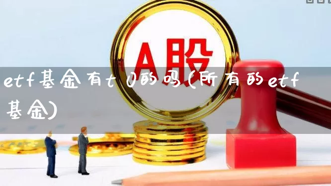 etf基金有t 0的吗(所有的etf基金)_https://www.wanyuyiyao.com_科创板_第1张