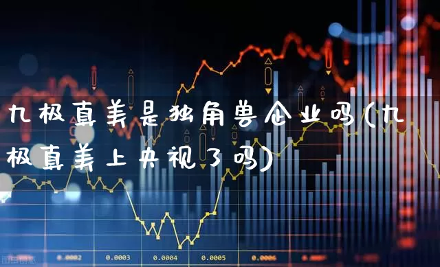 九极真美是独角兽企业吗(九极真美上央视了吗)_https://www.wanyuyiyao.com_科创板_第1张