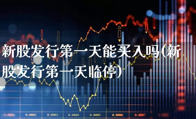 新股发行第一天能买入吗(新股发行第一天临停)_https://www.wanyuyiyao.com_科创板_第1张