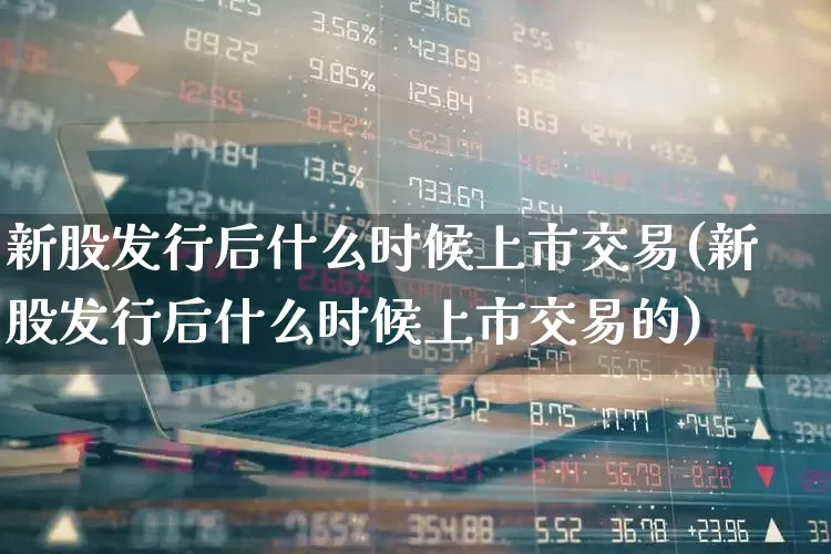 新股发行后什么时候上市交易(新股发行后什么时候上市交易的)_https://www.wanyuyiyao.com_创业板_第1张