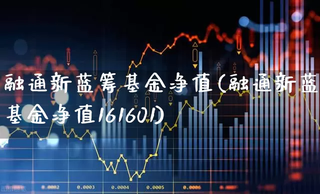 融通新蓝筹基金净值(融通新蓝筹基金净值161601)_https://www.wanyuyiyao.com_科创板_第1张