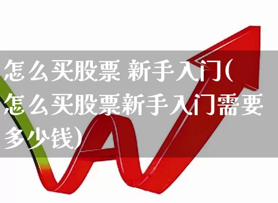 怎么买股票 新手入门(怎么买股票新手入门需要多少钱)_https://www.wanyuyiyao.com_北交所_第1张
