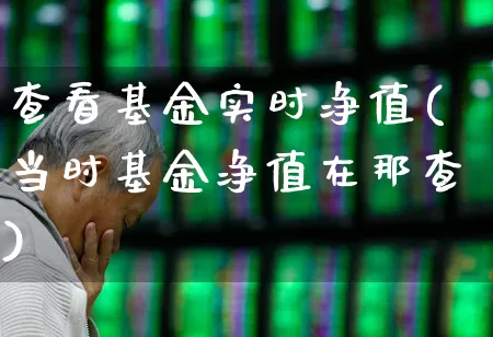 查看基金实时净值(当时基金净值在那查)_https://www.wanyuyiyao.com_创业板_第1张