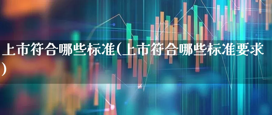 上市符合哪些标准(上市符合哪些标准要求)_https://www.wanyuyiyao.com_深交所_第1张