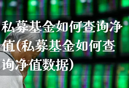 私募基金如何查询净值(私募基金如何查询净值数据)_https://www.wanyuyiyao.com_深交所_第1张