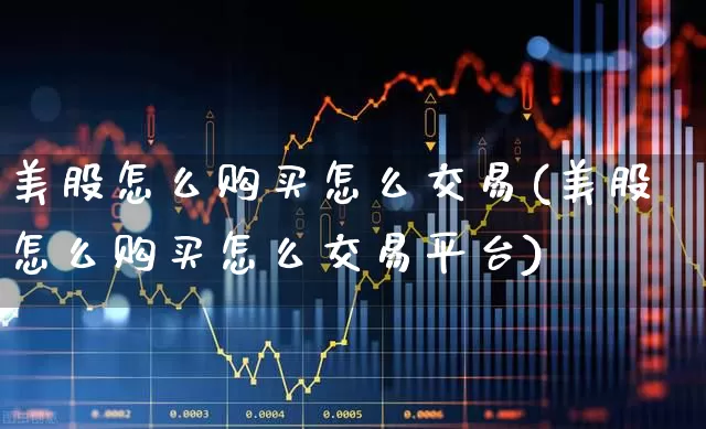 美股怎么购买怎么交易(美股怎么购买怎么交易平台)_https://www.wanyuyiyao.com_上交所_第1张