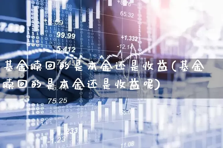 基金赎回的是本金还是收益(基金赎回的是本金还是收益呢)_https://www.wanyuyiyao.com_创业板_第1张