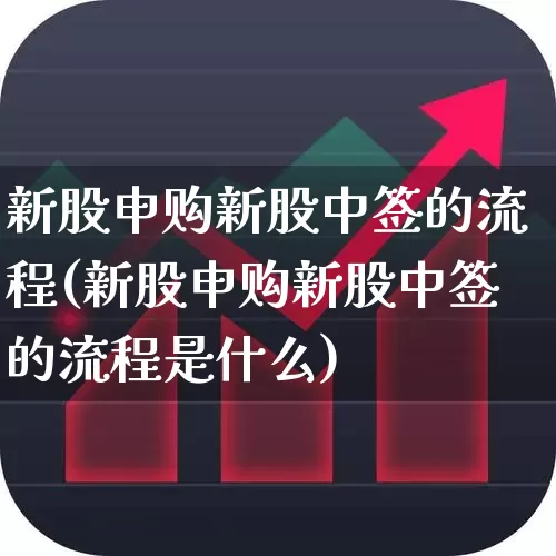 新股申购新股中签的流程(新股申购新股中签的流程是什么)_https://www.wanyuyiyao.com_科创板_第1张