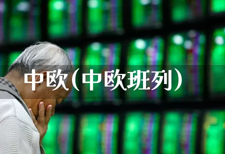 中欧(中欧班列)_https://www.wanyuyiyao.com_创业板_第1张