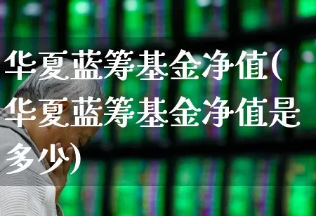 华夏蓝筹基金净值(华夏蓝筹基金净值是多少)_https://www.wanyuyiyao.com_科创板_第1张