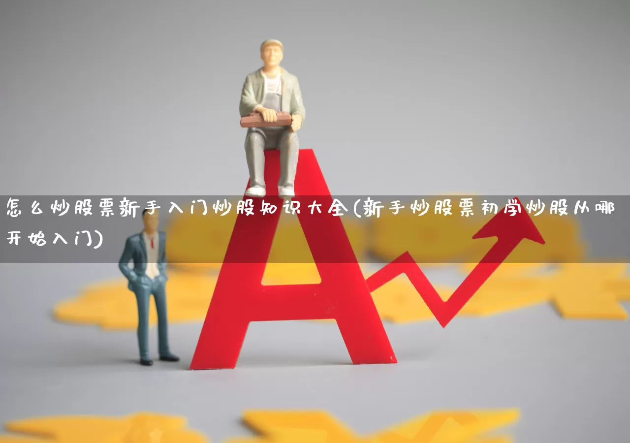 怎么炒股票新手入门炒股知识大全(新手炒股票初学炒股从哪开始入门)_https://www.wanyuyiyao.com_上交所_第1张