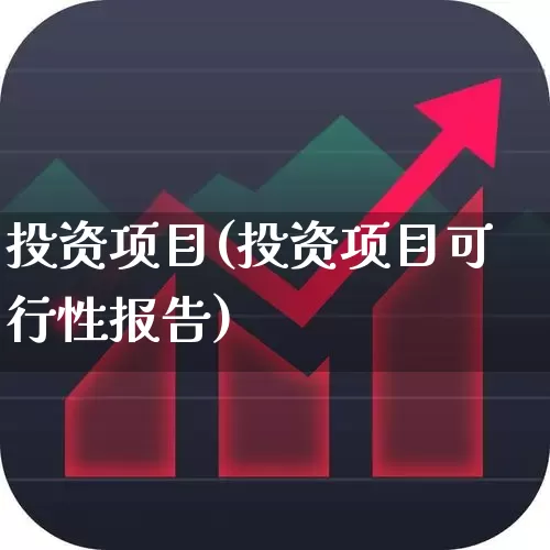 投资项目(投资项目可行性报告)_https://www.wanyuyiyao.com_北交所_第1张