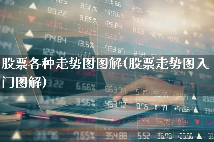 股票各种走势图图解(股票走势图入门图解)_https://www.wanyuyiyao.com_上交所_第1张