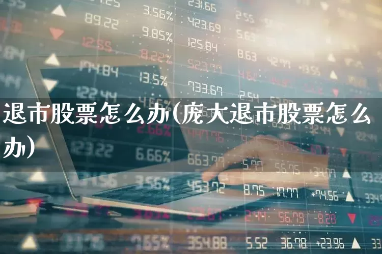 退市股票怎么办(庞大退市股票怎么办)_https://www.wanyuyiyao.com_北交所_第1张