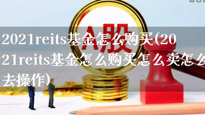 2021reits基金怎么购买(2021reits基金怎么购买怎么卖怎么去操作)_https://www.wanyuyiyao.com_创业板_第1张