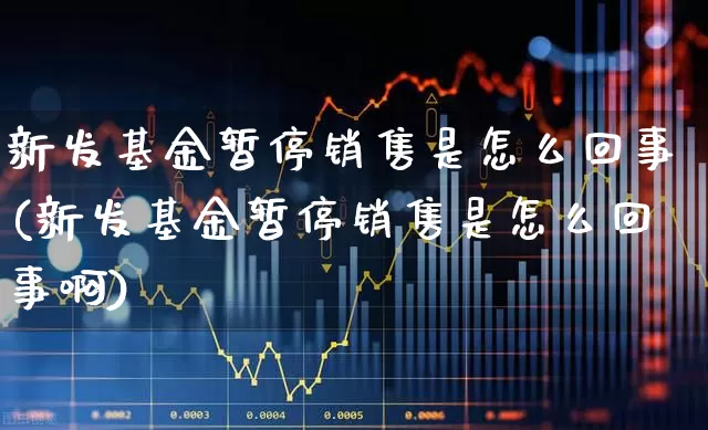 新发基金暂停销售是怎么回事(新发基金暂停销售是怎么回事啊)_https://www.wanyuyiyao.com_上交所_第1张