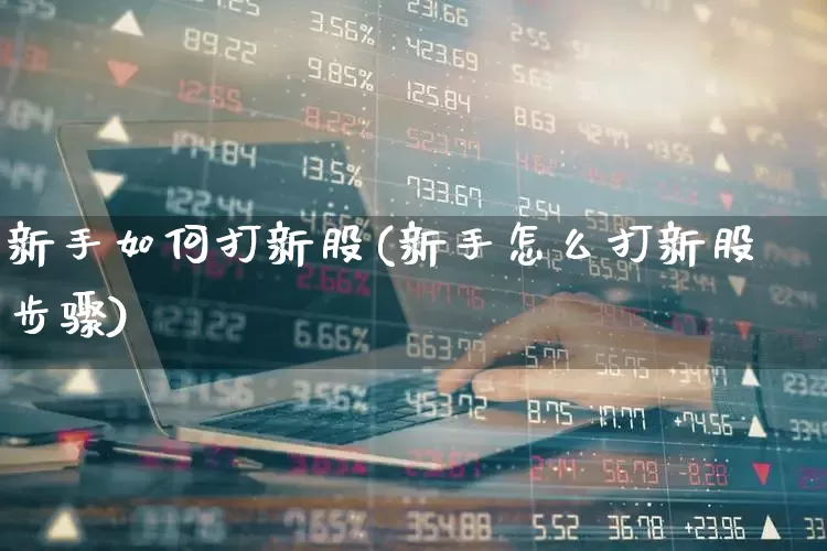 新手如何打新股(新手怎么打新股步骤)_https://www.wanyuyiyao.com_北交所_第1张