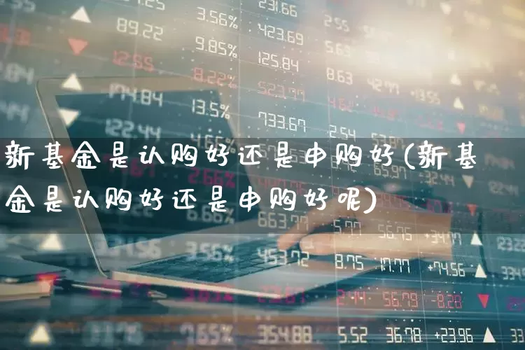 新基金是认购好还是申购好(新基金是认购好还是申购好呢)_https://www.wanyuyiyao.com_深交所_第1张