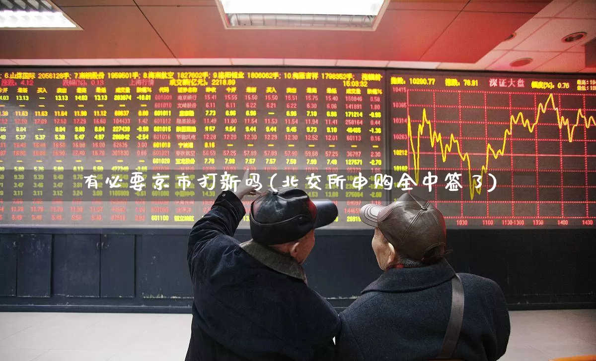 有必要京市打新吗(北交所申购全中签了)_https://www.wanyuyiyao.com_北交所_第1张