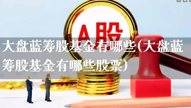 大盘蓝筹股基金有哪些(大盘蓝筹股基金有哪些股票)_https://www.wanyuyiyao.com_深交所_第1张