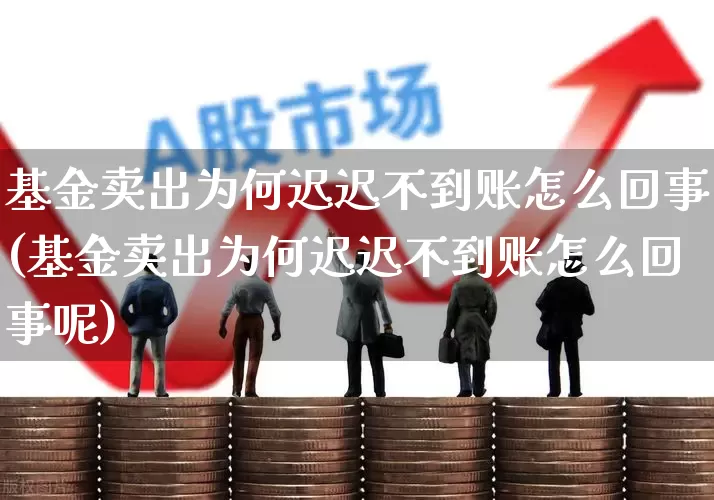 基金卖出为何迟迟不到账怎么回事(基金卖出为何迟迟不到账怎么回事呢)_https://www.wanyuyiyao.com_创业板_第1张