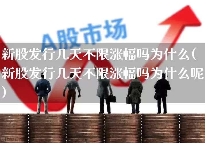 新股发行几天不限涨幅吗为什么(新股发行几天不限涨幅吗为什么呢)_https://www.wanyuyiyao.com_深交所_第1张
