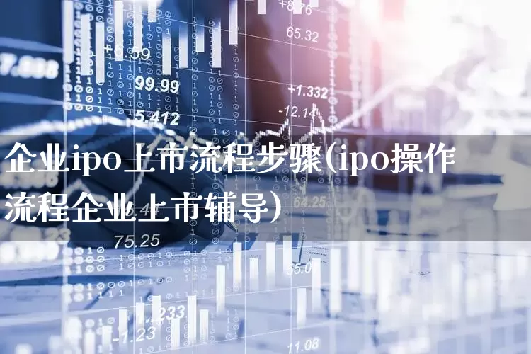 企业ipo上市流程步骤(ipo操作流程企业上市辅导)_https://www.wanyuyiyao.com_创业板_第1张