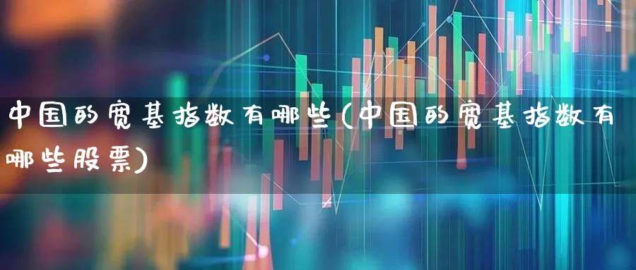 中国的宽基指数有哪些(中国的宽基指数有哪些股票)_https://www.wanyuyiyao.com_科创板_第1张