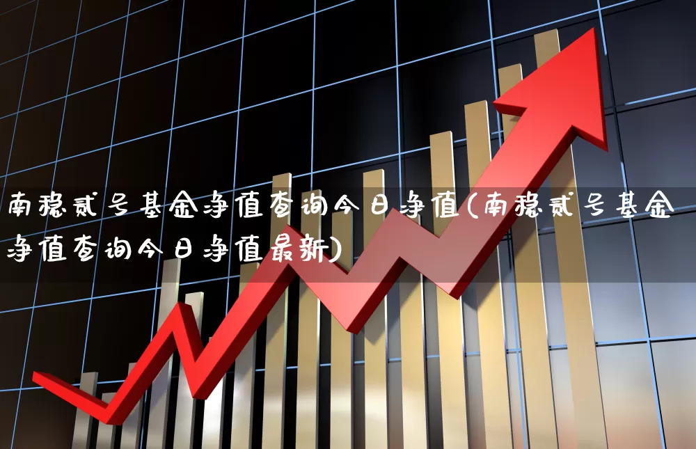 南稳贰号基金净值查询今日净值(南稳贰号基金净值查询今日净值最新)_https://www.wanyuyiyao.com_创业板_第1张