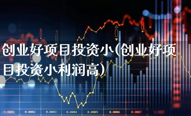 创业好项目投资小(创业好项目投资小利润高)_https://www.wanyuyiyao.com_深交所_第1张