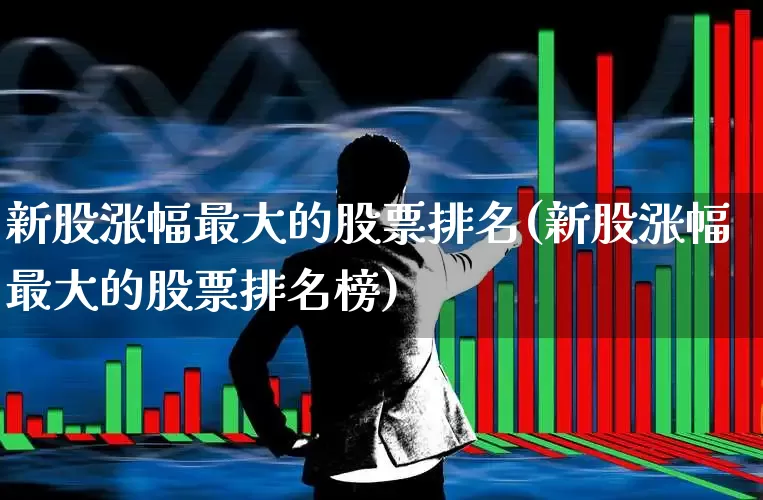 新股涨幅最大的股票排名(新股涨幅最大的股票排名榜)_https://www.wanyuyiyao.com_北交所_第1张