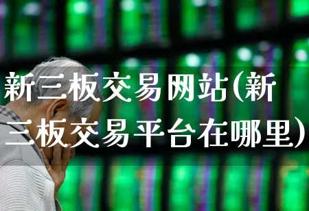 新三板交易网站(新三板交易平台在哪里)_https://www.wanyuyiyao.com_深交所_第1张