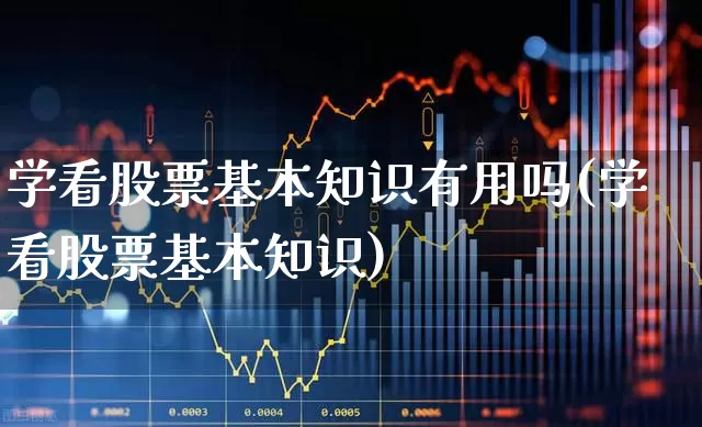 学看股票基本知识有用吗(学看股票基本知识)_https://www.wanyuyiyao.com_上交所_第1张