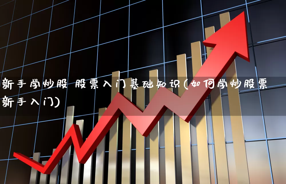 新手学炒股 股票入门基础知识(如何学炒股票新手入门)_https://www.wanyuyiyao.com_创业板_第1张